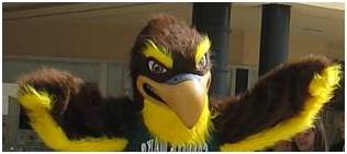 	 Falcon mascot suit